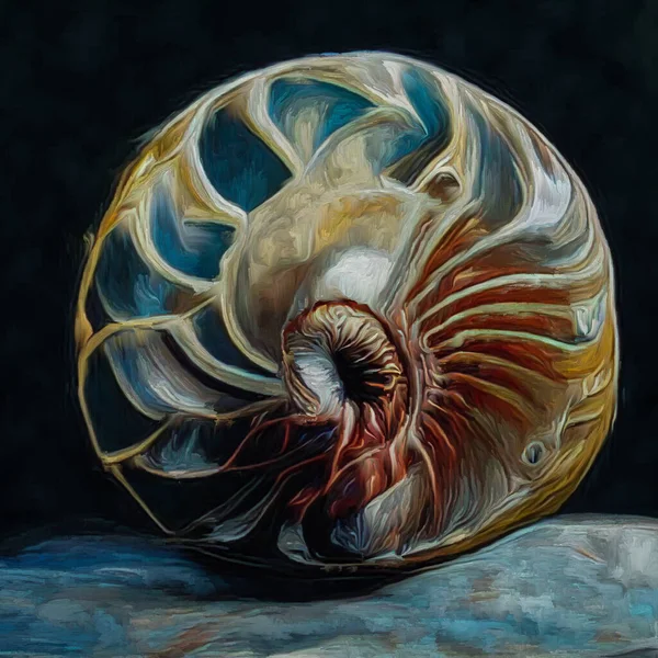 Nautilus Dream Series Interplay Spiral Structures Shell Patterns Colors Abstract — Photo
