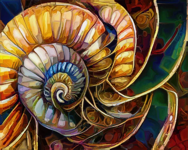 Nautilus Dream Series Interplay Spiral Structures Shell Patterns Colors Abstract — Photo