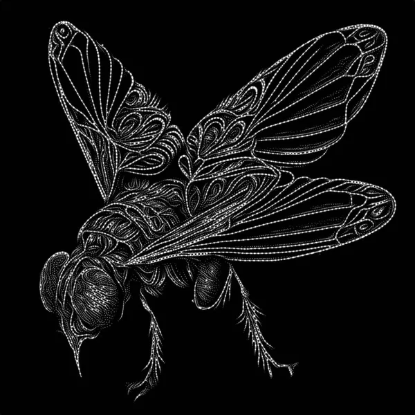 Série Insect Point Interação Linhas Pontilhadas Padrões Sobre Tema Poesia — Fotografia de Stock