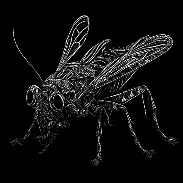 Série Insect Point Interação Linhas Pontilhadas Padrões Sobre Tema Poesia — Fotografia de Stock