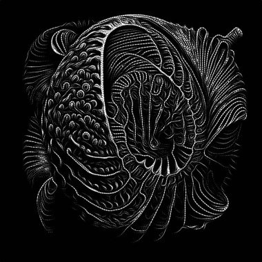 Point Symbology series. Composition of dotted lines and patterns on the subject of poetry, light perception, reserved art and austere design.