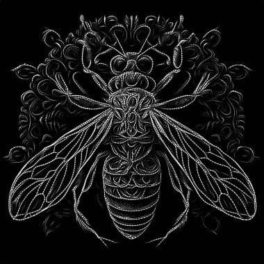 Insect Point series. Artistic abstraction of dotted lines and patterns on the subject of poetry, light perception, reserved art and austere design.