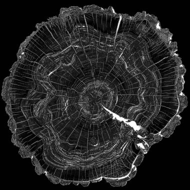 Tao of Life serisi. Doğa, felsefe ve sanat konularında noktalı yorumlama.