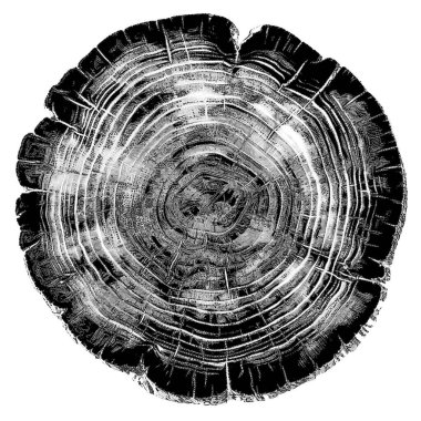 Tao of Life serisi. Doğa ruhunun dokudaki görsel izi. Noktalı çizim. En uygun hale getirilmiş yazdır.