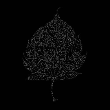 Dead Leaves Katalog serisi. İskelet yaprağının karmaşık ağını gösteren noktalı illüstrasyon.