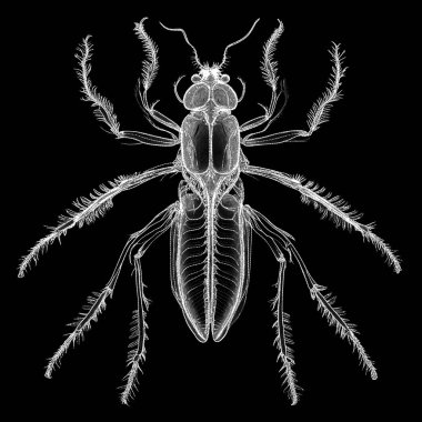 Yaradılış serisinin yaşam formları. Sanatsal illüstrasyon, hayal gücü, kompozisyon ve tasarım konularında piksel benzeri noktalar kullanarak bir yaşam formunun özünü yakalayan bir resmin bileşimi.