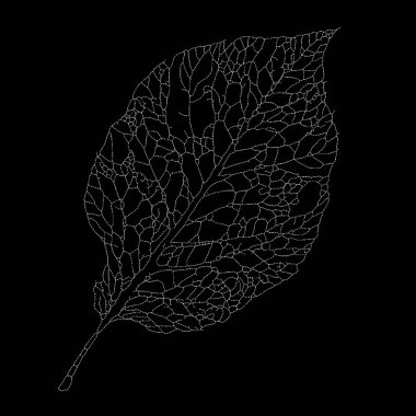 Dead Leaves Katalog serisi. Benekli sanat iskelet yaprağının ruhani doğasını yakalıyor..