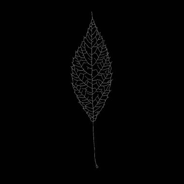 Dead Leaves Katalog serisi. Bir iskelet yaprağının özünü yansıtan noktalama betimlemesi..