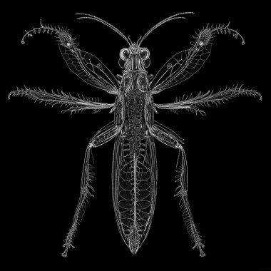 Yaşam formları dizisinin yaratılışı. Sanatsal illüstrasyon, hayal gücü, kompozisyon ve tasarım konularında noktalı diyagram olarak bir kelebeğin tasarımının yer aldığı çağdaş bir sanat eserinin kompozisyonu.