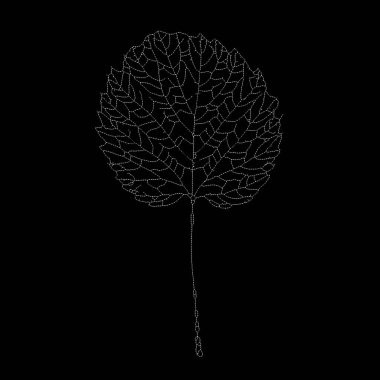 Dead Leaves Catalogue series. A stippling portrayal of a skeleton leaf, exploring the intricate and minimalist patterns that emerge from nature's design. clipart