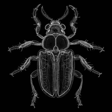 Yaradılış serisinin yaşam formları. Dijital sanat, ışık algısı, hayal gücü ve yaratıcılık konularında bir yaşam formunu şekillendirmek için noktalama teknikleri kullanan soyut bir dijital sanatın arka plan tasarımı.