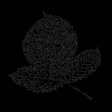 Dead Leaves Katalog serisi. Doğal formlar, kırılganlık, minimalizm ve tasarım konularındaki iskelet yaprağının noktalama sanatı.