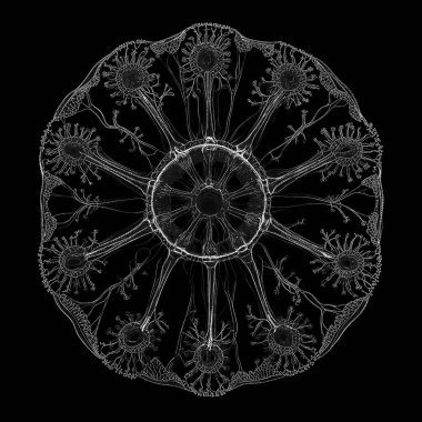 Yaşam formları dizisinin yaratılışı. Bir yaşam formunun hassas yapısının etkileşimi dijital sanat, ışık algısı, hayal gücü ve yaratıcılık konularına hassas nokta yerleştirme ile hayata geçirildi..