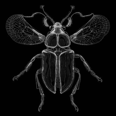 Yaradılış serisinin yaşam formları. Dijital sanat, ışık algısı, hayal gücü ve yaratıcılık konularında bir yaşam formunu şekillendirmek için noktalama teknikleri kullanan soyut bir dijital sanatın arka plan tasarımı.