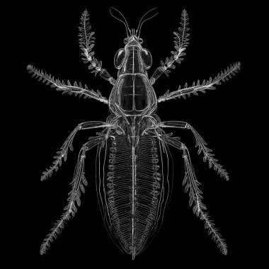 Yaradılış serisinin yaşam formları. Bir yaşam formunun doğal güzelliğinin kompozisyonu sanatsal illüstrasyon, hayal gücü, kompozisyon ve tasarım konularında hesaplanmış noktalar dizisiyle ifade edilir..