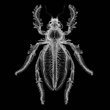 Yaşam formları dizisinin yaratılışı. Teknoloji ve doğanın birleşiminin sanatsal illüstrasyon, hayal gücü, kompozisyon ve tasarım konularında dijital nokta yorumlaması..