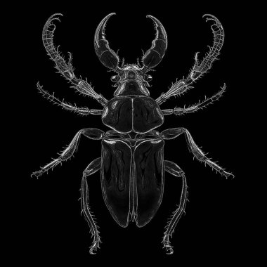 Yaşam formları dizisinin yaratılışı. Sanatsal illüstrasyon, hayal gücü, kompozisyon ve tasarım konularındaki noktalardan oluşan bir matrisin oluşturduğu bir yaşam formu siluetinin kavramsal sanat parçasının kompozisyonu.