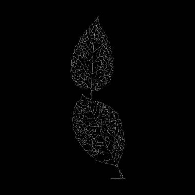 Dead Leaves Katalog serisi. Bir iskelet yaprağının benekli tasviri, varlıkla yokluk arasındaki ince çizgiye odaklanıyor..