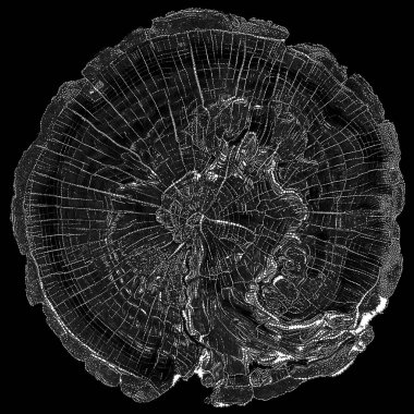 Tao of Life serisi. Doğa, felsefe ve sanat konularında noktalama posteri.