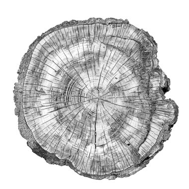 Tao of Life serisi. Doğa, felsefe ve sanat konularında noktalama izi.