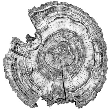 Tao of Life serisi. Doğa, felsefe ve sanat konularında noktalama izi.