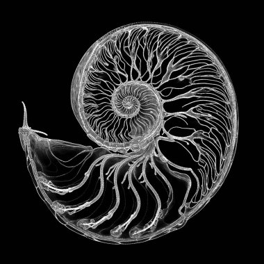 Yaradılış serisinin yaşam formları. Dijital sanat, ışık algısı, hayal gücü ve yaratıcılık konularındaki dijital hayal gücünü sembolize eden mürekkep noktaları takımyıldızıyla betimlenen bir yaşam formunun arka plan kompozisyonu.