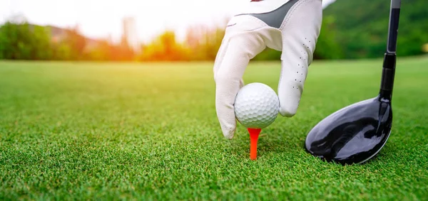 把高尔夫球关在绿草场上 体育高尔夫俱乐部 图库照片
