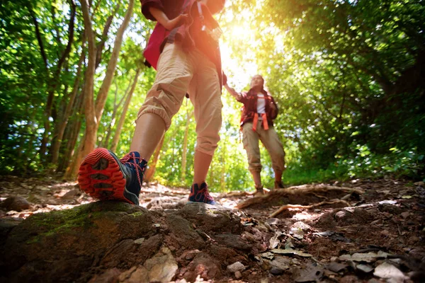 两个背着背包的徒步旅行者在森林里散步 欣赏山谷的景色并拍照 互相帮助 免版税图库照片
