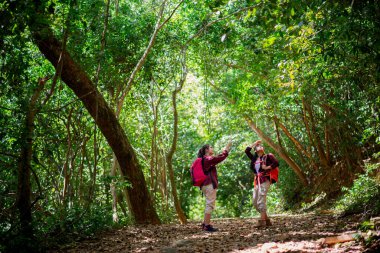 İki Asyalı kadın yürüyüşçü ormanda yürüyor. Dişi yürüyüşçüler gezileri sırasında mutluluk ve neşe içinde ormanda yürürken etrafa bakınıp fotoğraf çekiyorlar..