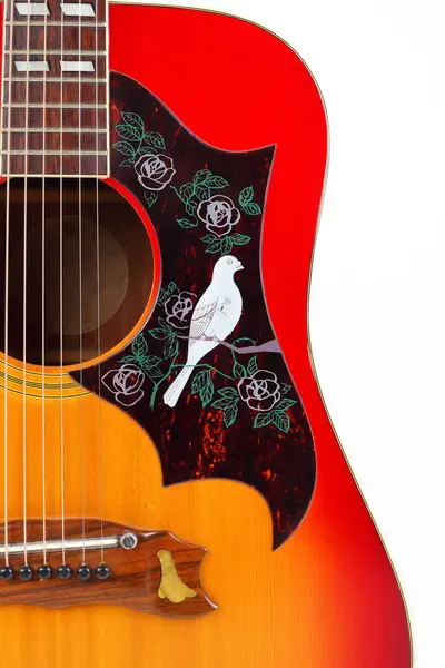 stock image Musical instrument - Silhouette of a Front view very rare vintage pickguard bird acoustic guitar white background