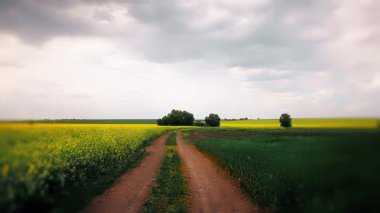 Yaz manzarası. Zaman ayarlı. Bozkır yolu ve bulutlu gökyüzü