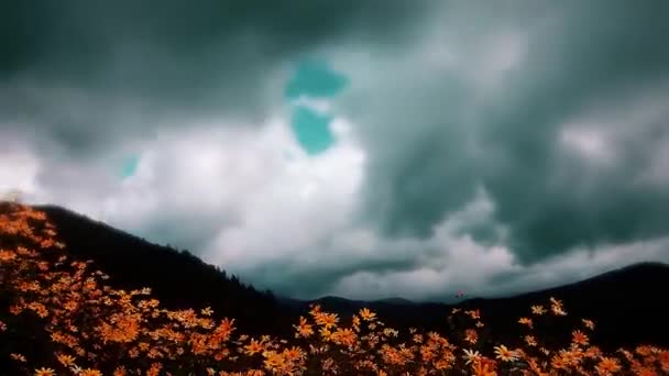 Montañas Bosque Cielo Nublado — Vídeo de stock
