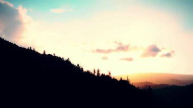 Orman bulutlu arka planda 4K