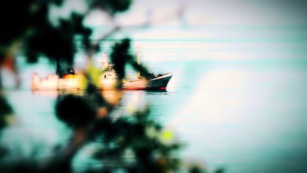 夏季海景 海上渔船 — 图库视频影像