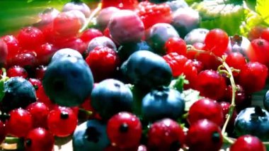 Yaban mersini ve frenk üzümü, yavaş çekim