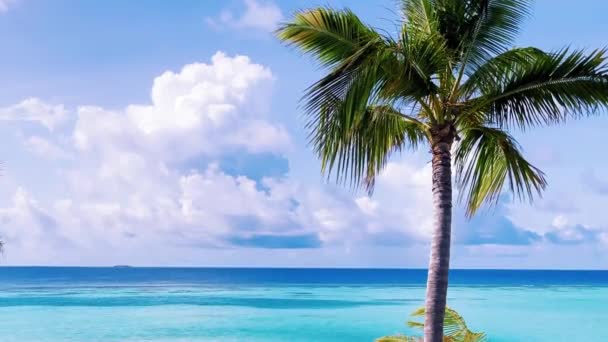 Havets Kustlinje Maldiverna Juni 2021 — Stockvideo