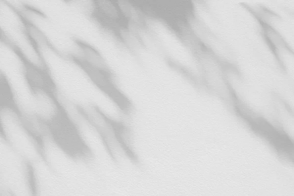 Blattschatten Und Licht Der Wand Verschwimmen Hintergrund Natur Tropische Blätter — Stockfoto