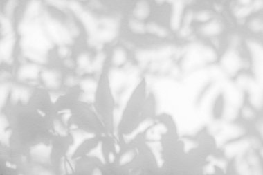 Yaprak yansımasının gölgesi ve güneş ışığı. Orman yaprakları, gri karanlık gölge ve aydınlatma beton duvar kağıdı, gölgeler kaplama etkisi, taklit tasarım. Gri yeşillik sanatsal arka gruplama