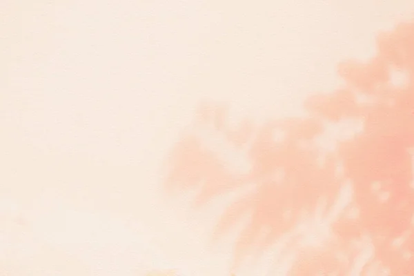 Streszczenie Jasnego Cienia Różowych Liści Bokeh Zamazane Tło Naturalne Ukośne — Zdjęcie stockowe