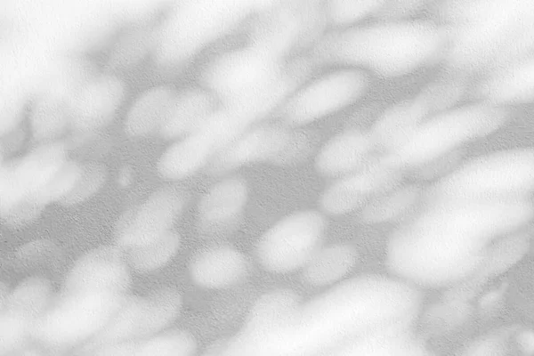 Абстрактна Тінь Світлий Розмитий Фон Легким Боке Натуральні Сірі Тіні — стокове фото
