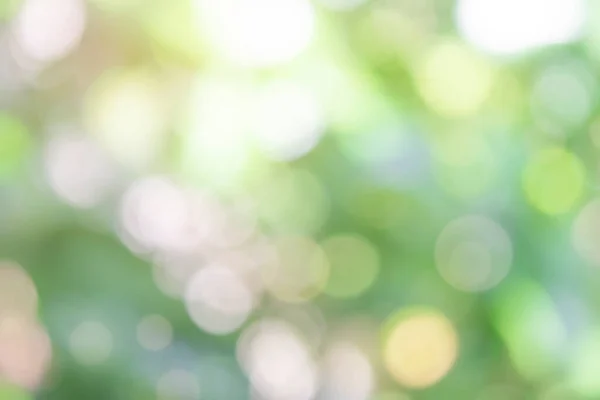 Natur Bokeh Verschwimmen Abstrakten Hintergrund Sonnenlicht Bokeh Auf Grünem Laub — Stockfoto