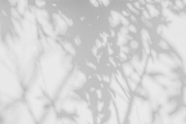 Ağaç gölgesi ve yaprak dalının ışığı. Doğa, arka plan duvar kağıdı tasarımı için tropikal orman ağacı dalları karanlık gölgeler ve güneş ışığından gelen ışık ve gölge effec örtüsü bırakır.