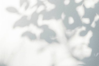 Leaf shadow and light on wall pink background. Nature tropical leaves shadows tree branch and plant shade with sunlight sunshine on wall for  wallpaper, shadow overlay effect foliage mocku