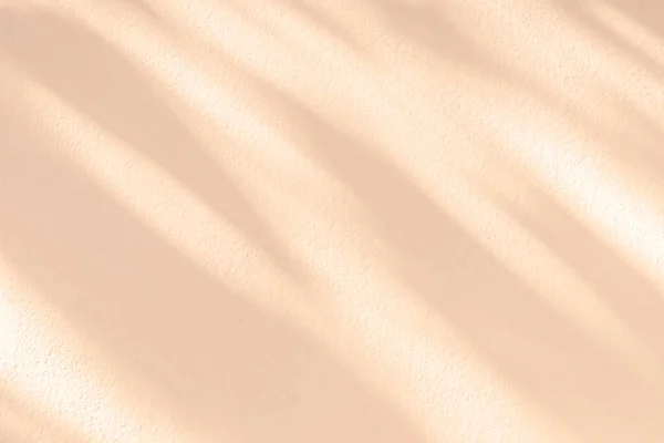 Licht Schaduw Roze Pastel Abstracte Achtergrond Natuurlijke Bladeren Schaduwen Zonneschijn — Stockfoto
