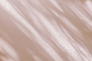 Bej renkli, pembe arkaplanlı, soyut ışık gölgesi. Doğal çapraz yapraklar ağaç dalı pastel pembe gölgeler ve güneş ışığı beyaz duvar dokusuna lekelenmiş, gölge effec