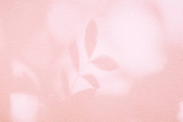 叶影和光在墙面粉红糊状背景上 自然热带叶影树分枝和植物树荫 墙纸上有阳光照射 阴影复盖效果叶型 — 图库照片