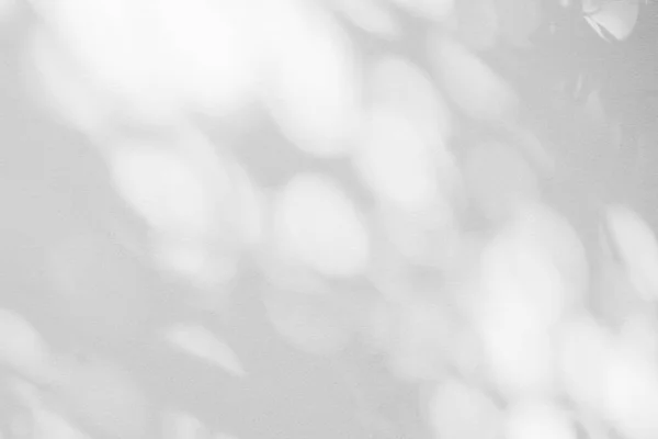 Licht Schaduw Van Bladeren Abstracte Grijze Achtergrond Natuurlijke Schaduwen Zonneschijn — Stockfoto