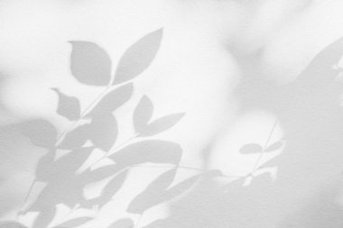 Shadow and sunshine of leaf reflection. Jungle leaves tree gray darkness shade and light on wall wallpaper, shadows overlay effect, mockup design. Grey tropical shadow foliage artistic backgroun