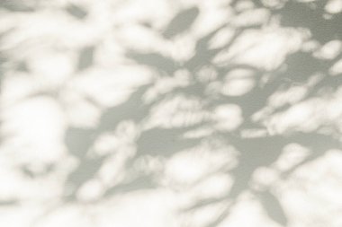 Shadow and sunshine of leaf reflection. Jungle leaves tree gray darkness shade and light on wall wallpaper, shadows overlay effect, mockup design. Grey tropical shadow foliage artistic backgroun