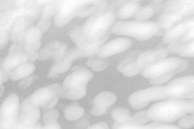 Soyut gölge ve ışık bulanık arkaplanda ışık saçar. Beyaz duvardaki yaprakların doğal gri gölgeleri. Yeşillik modellemesi için gölge örtüsü efekti, pankart grafik düzeneği